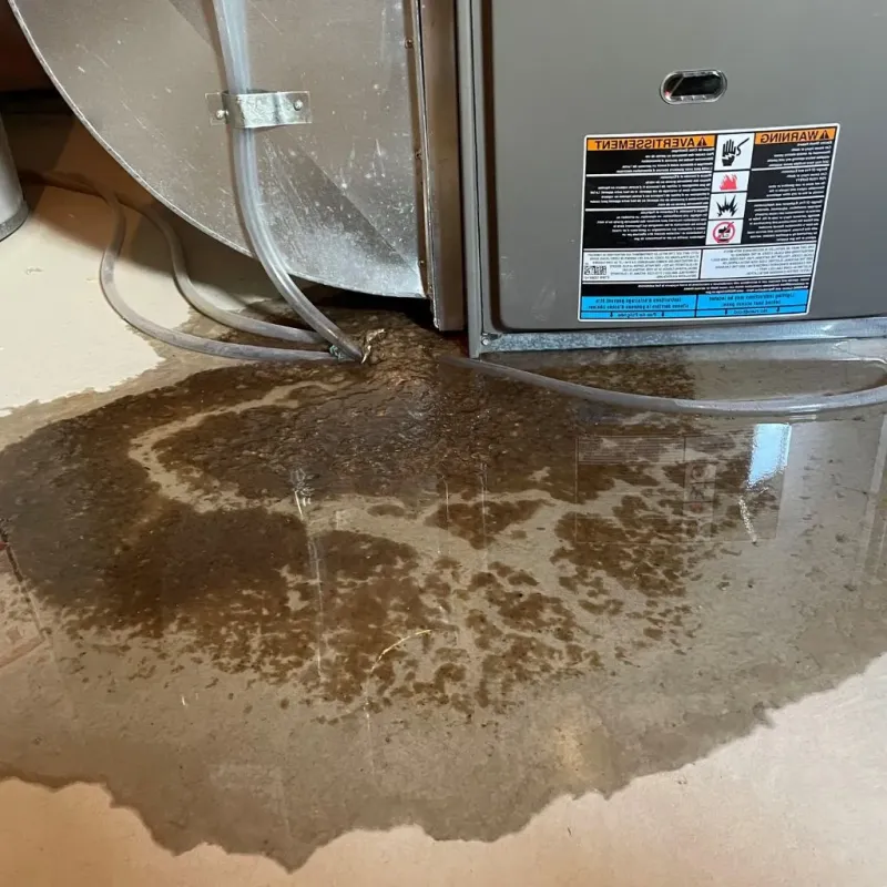 Pipe Burst and Leak Restoration in Milford, NH