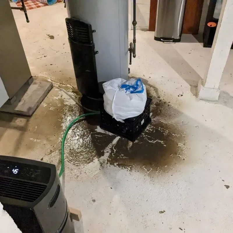 Sewage Backup Cleanup Service in Milford, NH